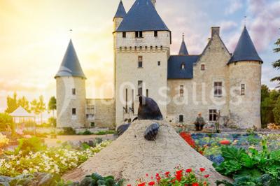 Château Du Rivau - photo 2