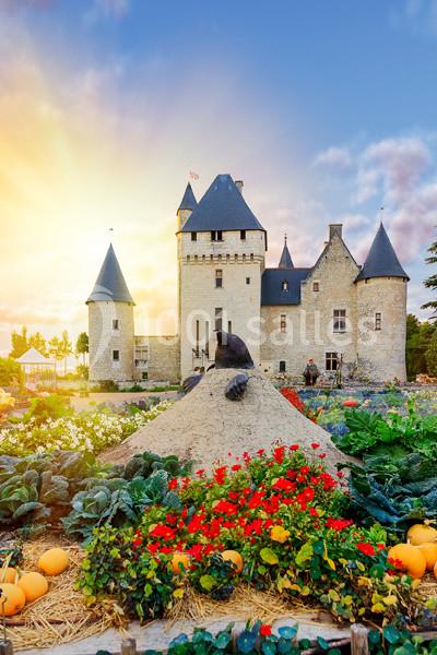 Château Du Rivau - galerie - photo 2