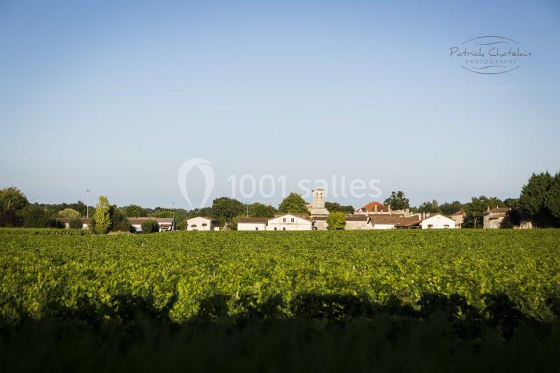 Château Bertinerie - galerie - photo 10