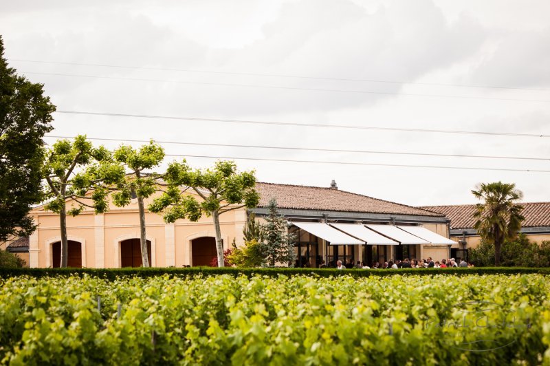Château Bertinerie - photo 1