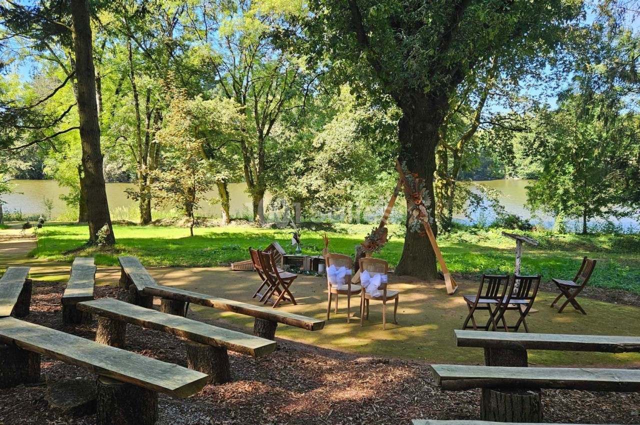 Bancs en bois disposés en plein air face à un lac entouré d'arbres, sous un ciel dégagé.