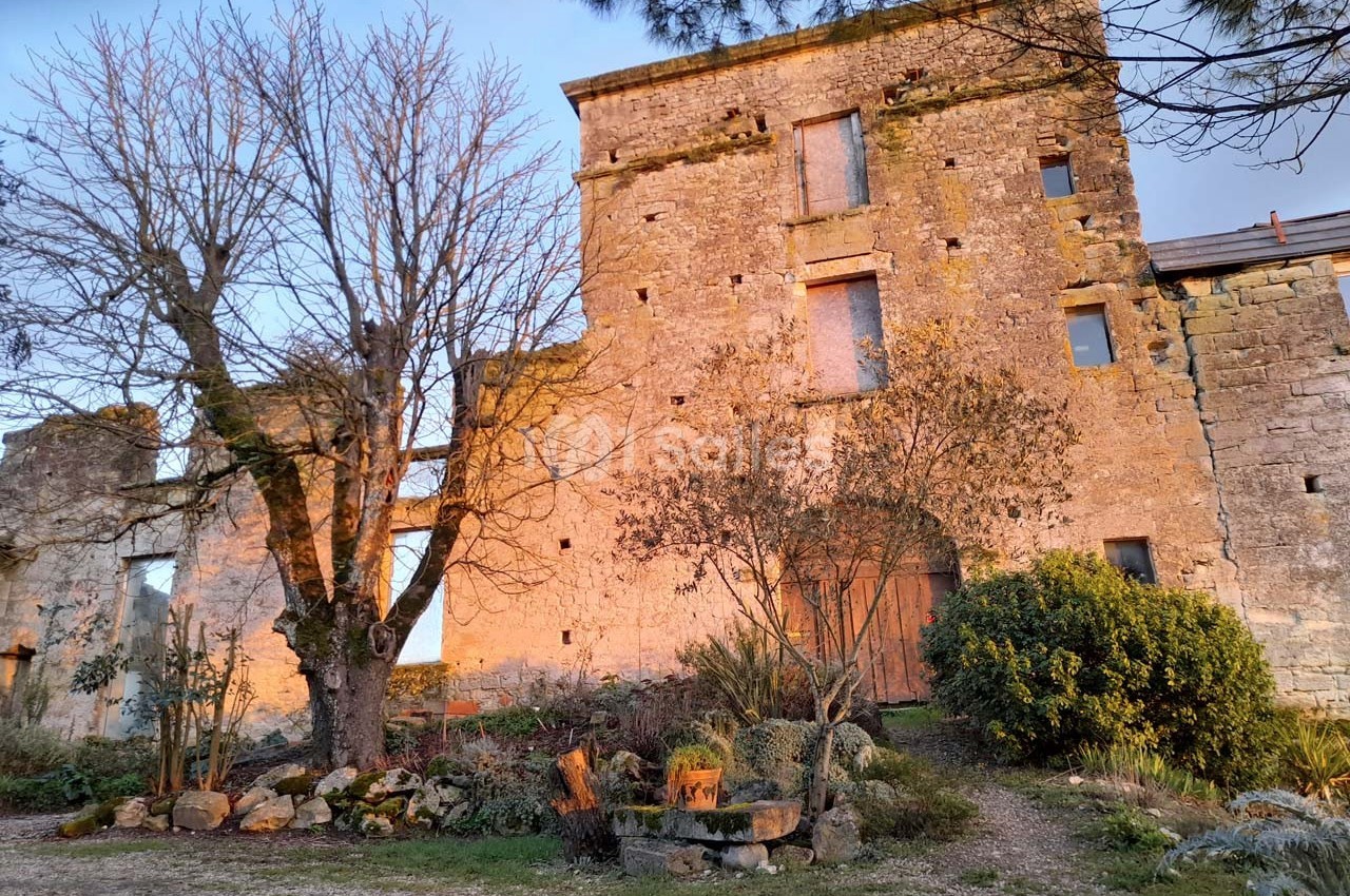Château de Monteton - galerie - photo 10