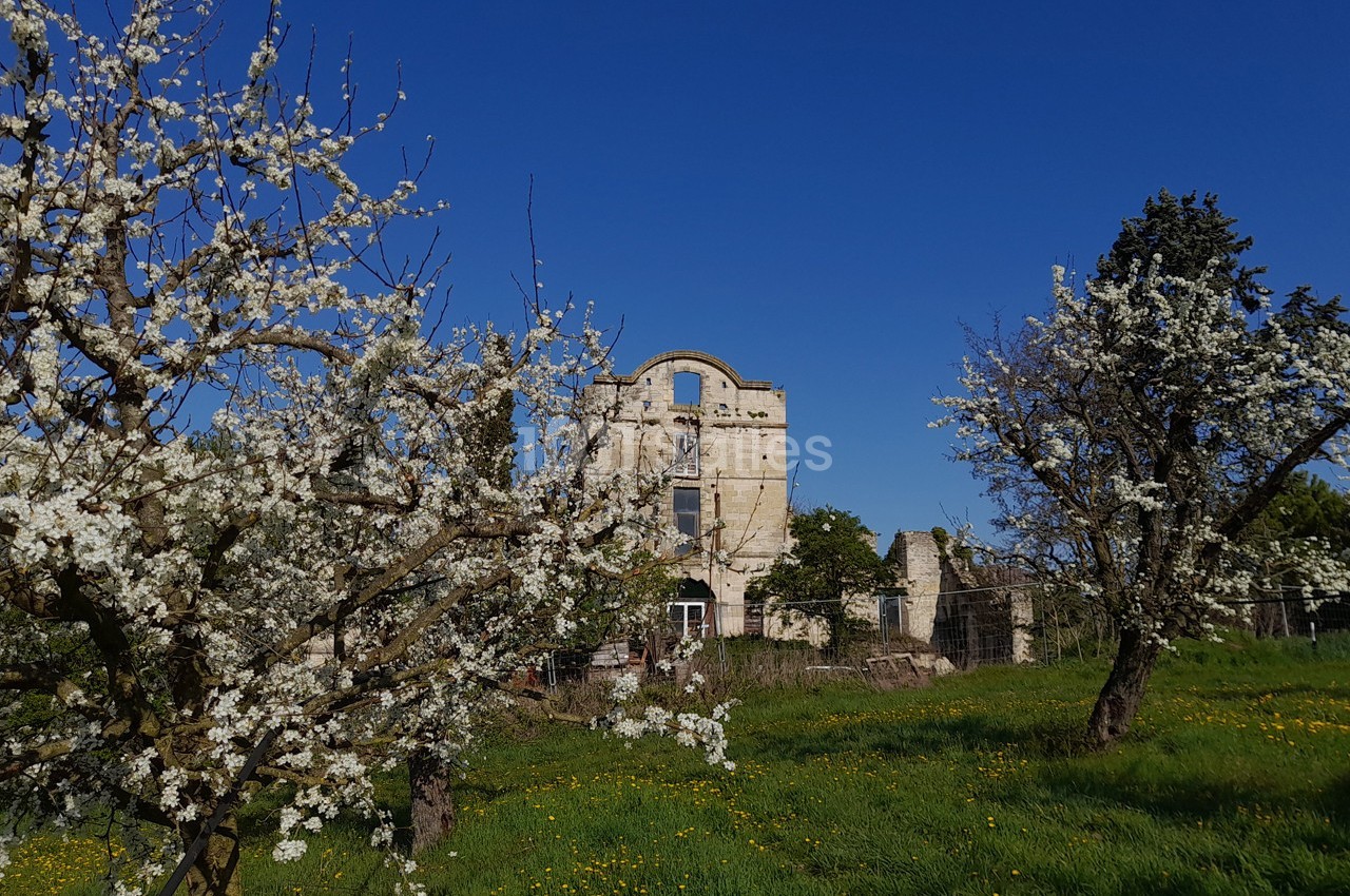 Château de Monteton - galerie - photo 8