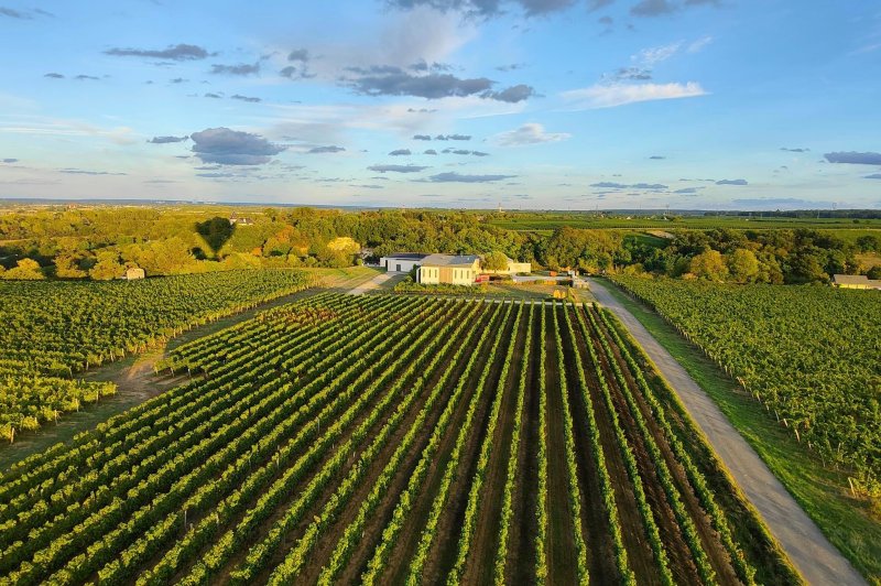 Domaine de Rocheville - photo 1