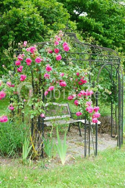 Domaine De La Thiau - galerie - photo 21