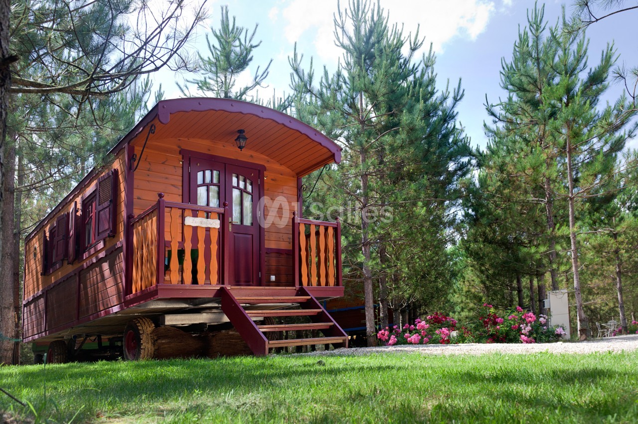 Roulotte en bois avec terrasse, située dans une clairière entourée de pins et de fleurs colorées.