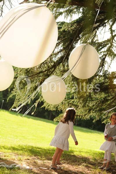 Maison Carli - Manoir Le Petit Plessis - galerie - photo 22