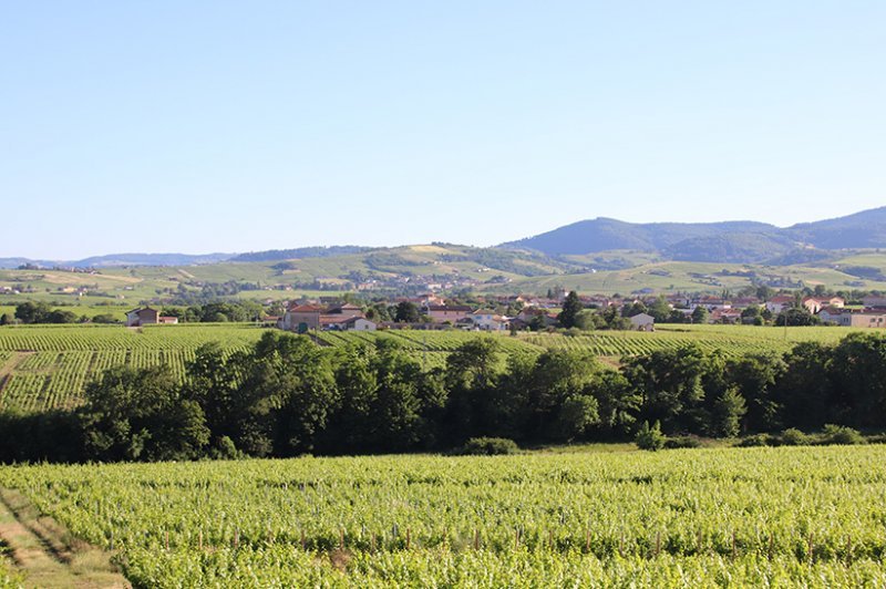 Les Voûtes du Clair de Néty - photo 4