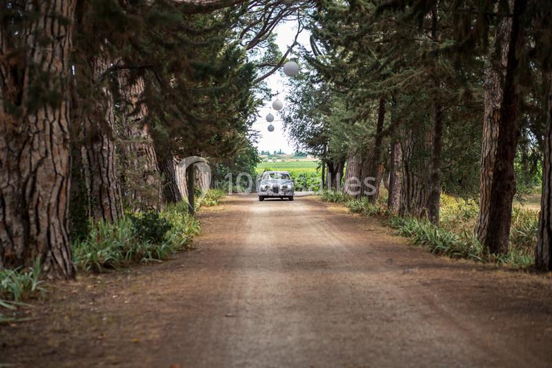 Voiture ancienne roulant sur un chemin bordé d'arbres, sous une allée de guirlandes suspendues.