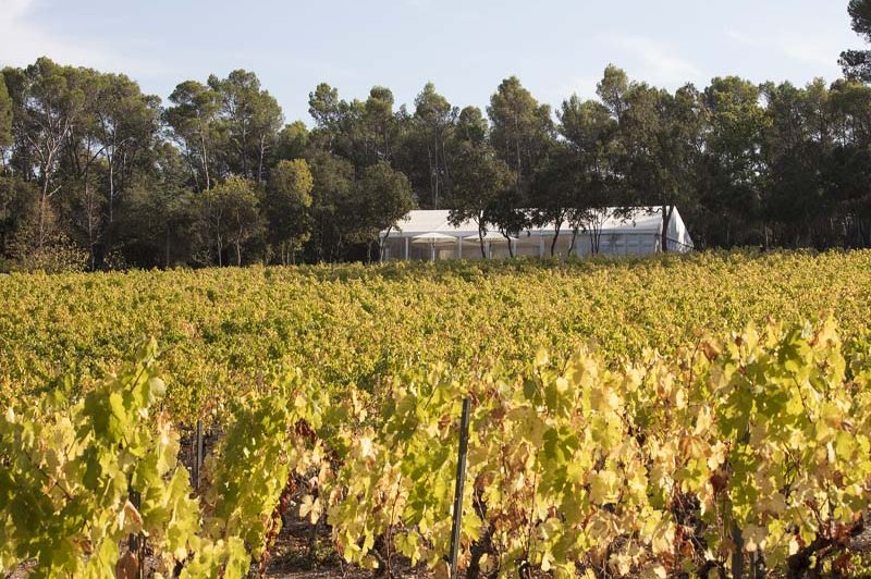 Domaine De Fauveris - photo 2