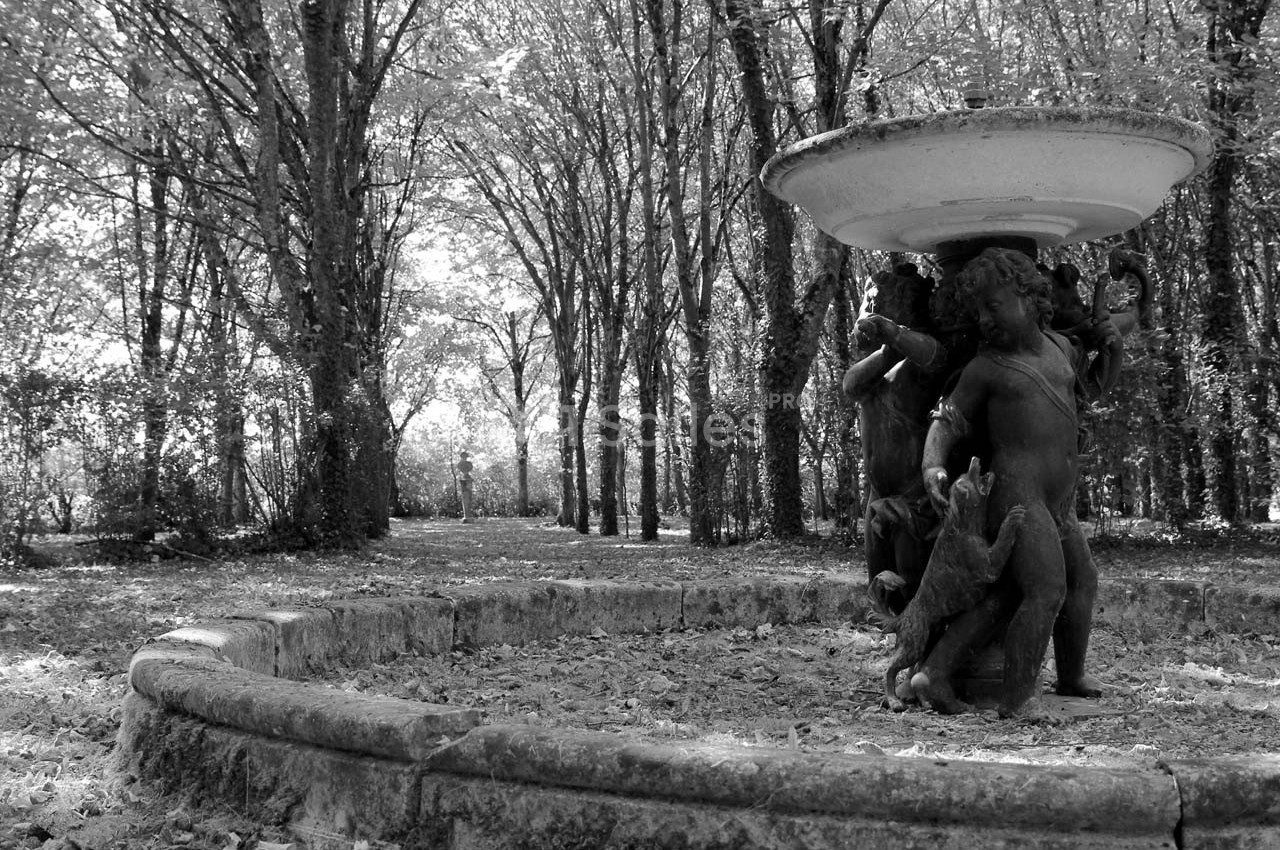 Fontaine ornée de statues d'enfants dans un parc boisé, entourée de feuilles tombées au sol.