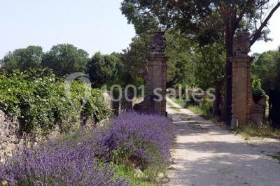 Château D'ayguebelle - photo 5