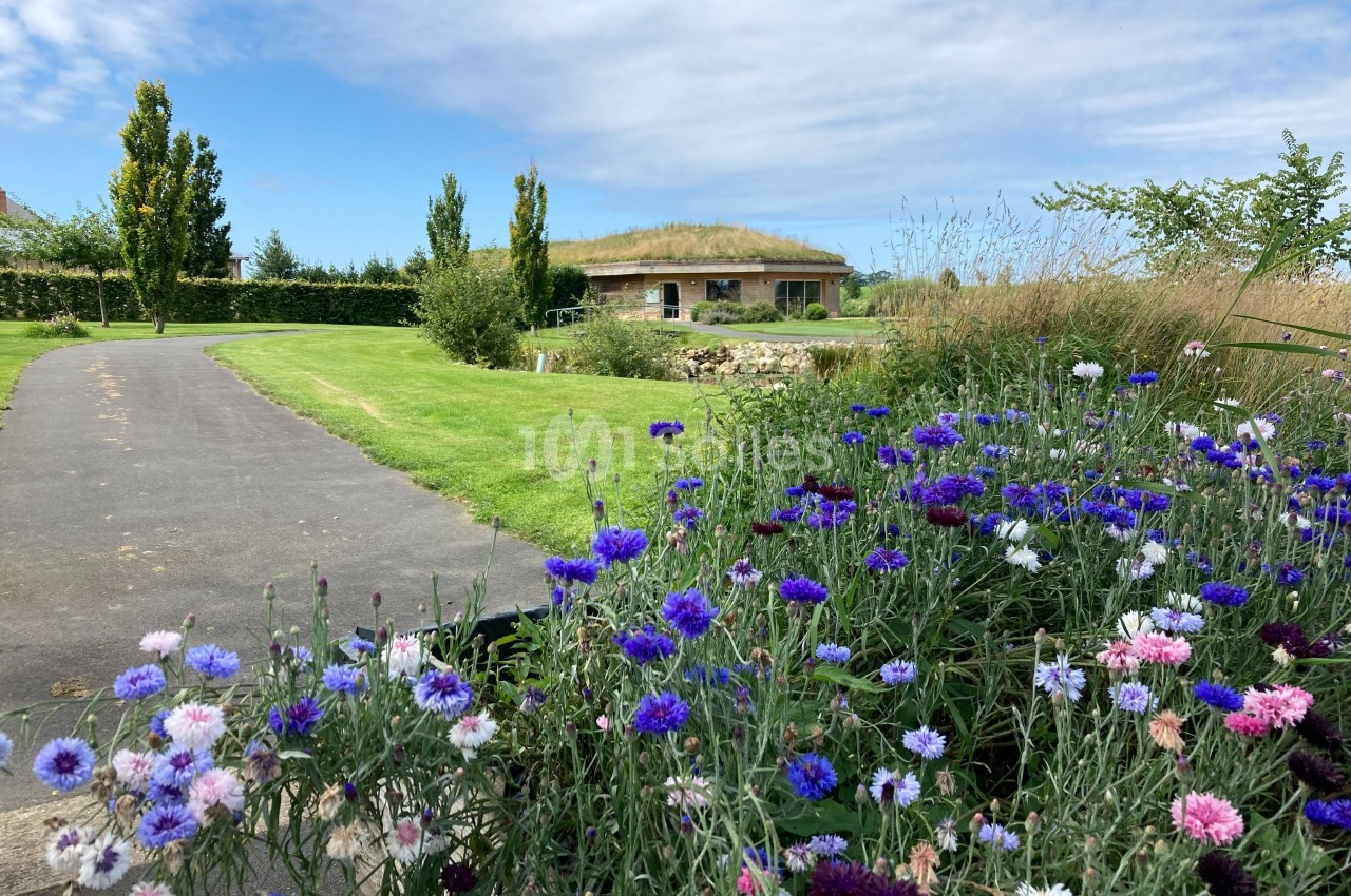Allée sinueuse bordée de fleurs colorées menant à une maison avec toit végétalisé, sous un ciel dégagé.