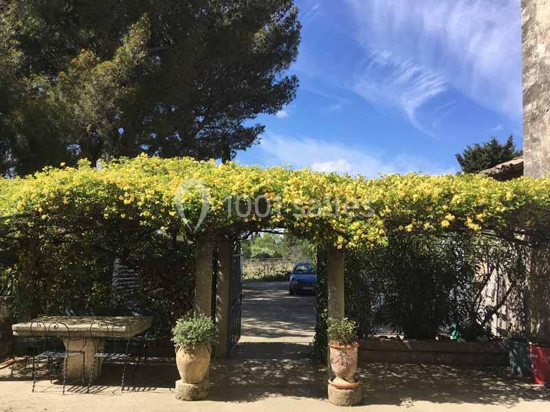 Pergola couverte de fleurs jaunes avec des pots de plantes, donnant sur une allée bordée de végétation.
