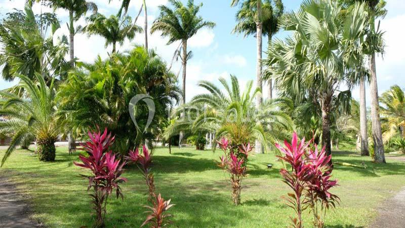 Domaine De L'oasis - galerie - photo 18