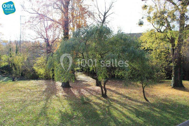 Un jardin en automne avec des arbres aux feuilles clairsemées et un sol couvert de feuilles mortes.