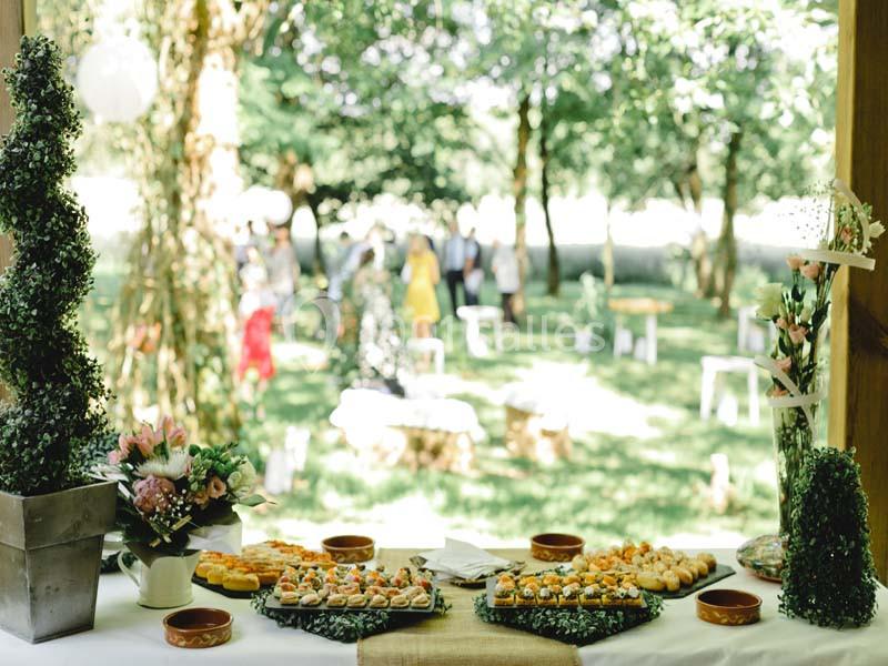 Table garnie de petits plats et décorations florales, avec un jardin verdoyant et des invités en arrière-plan.