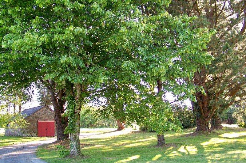 Domaine du Grand Baud - photo 4