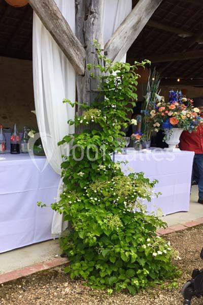 Ferme Du Bois La Dame - galerie - photo 15