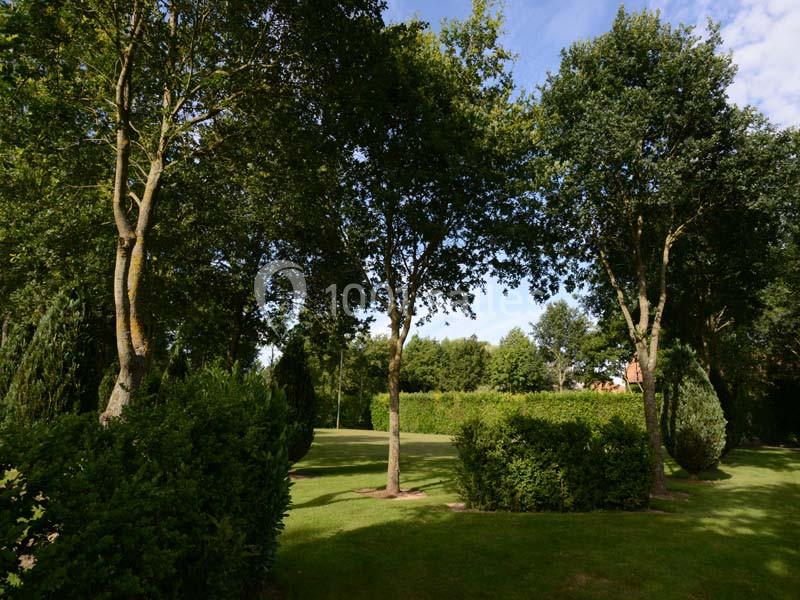 Pelouse verte entourée d'arbres et de haies dans un jardin sous un ciel partiellement dégagé.