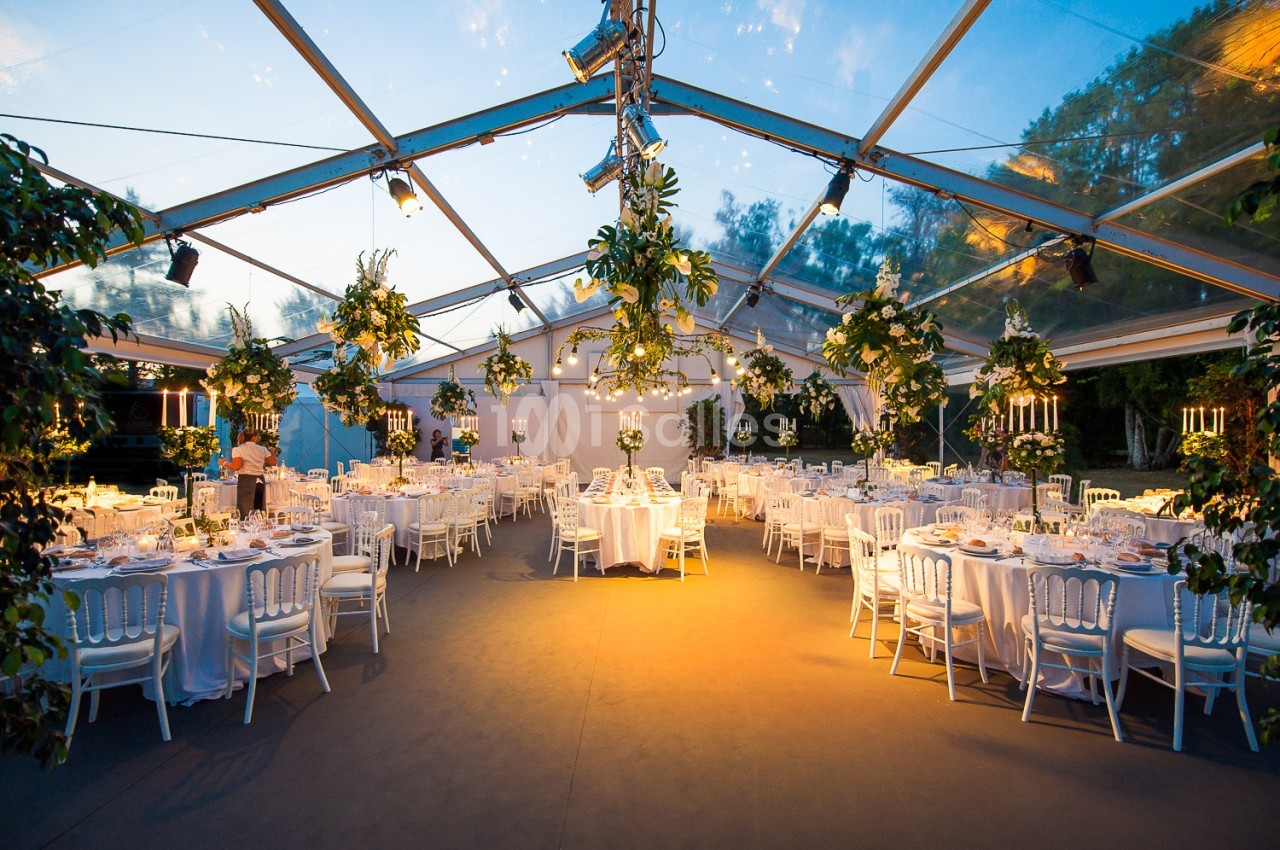 Salle de réception sous une tente transparente, décorée de plantes suspendues et tables dressées pour un événement.