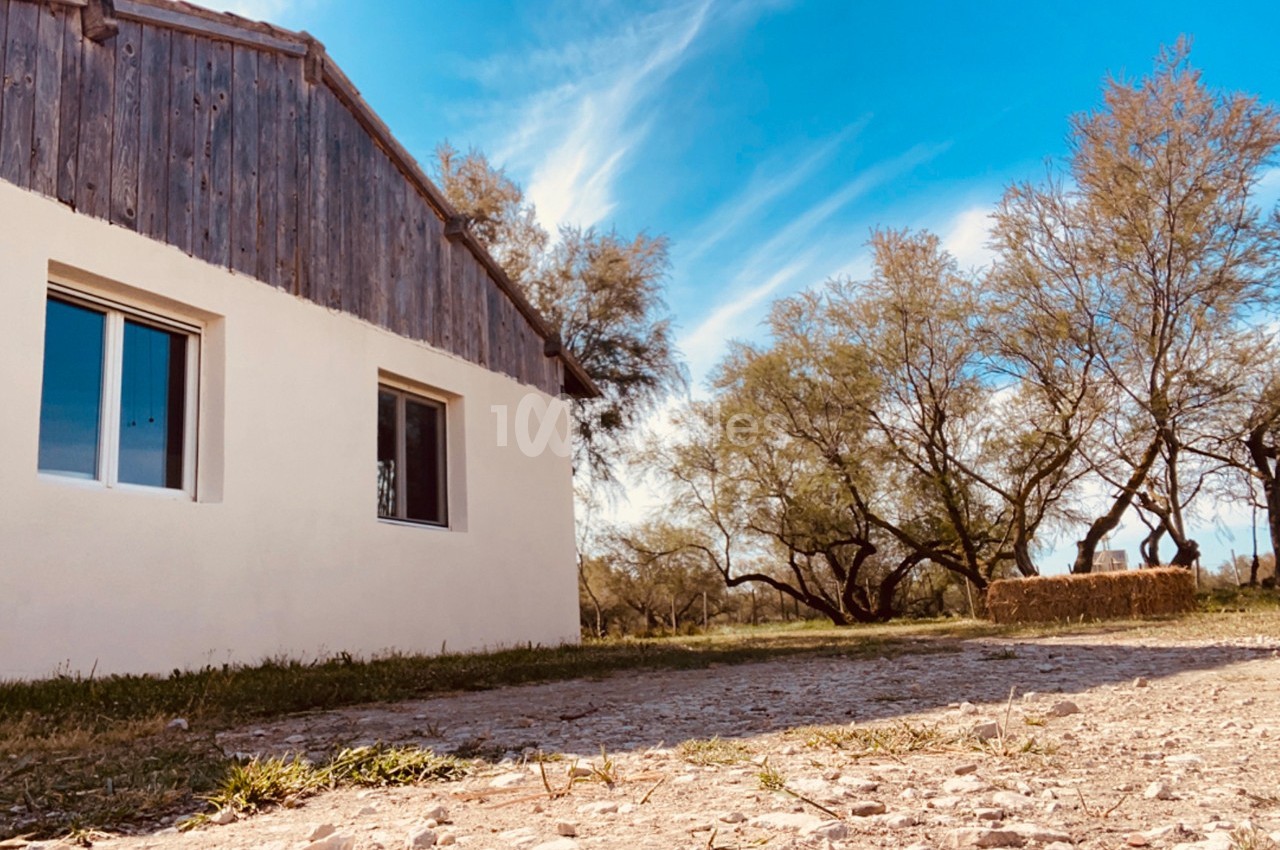 Maison en bois et crépi blanc entourée d'arbres, avec un chemin de terre et une botte de paille au sol.