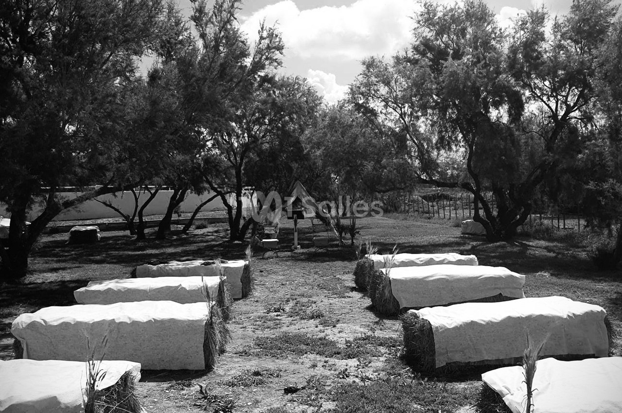 Des tables en pierre disposées en plein air sous des arbres, avec un abri en arrière-plan.