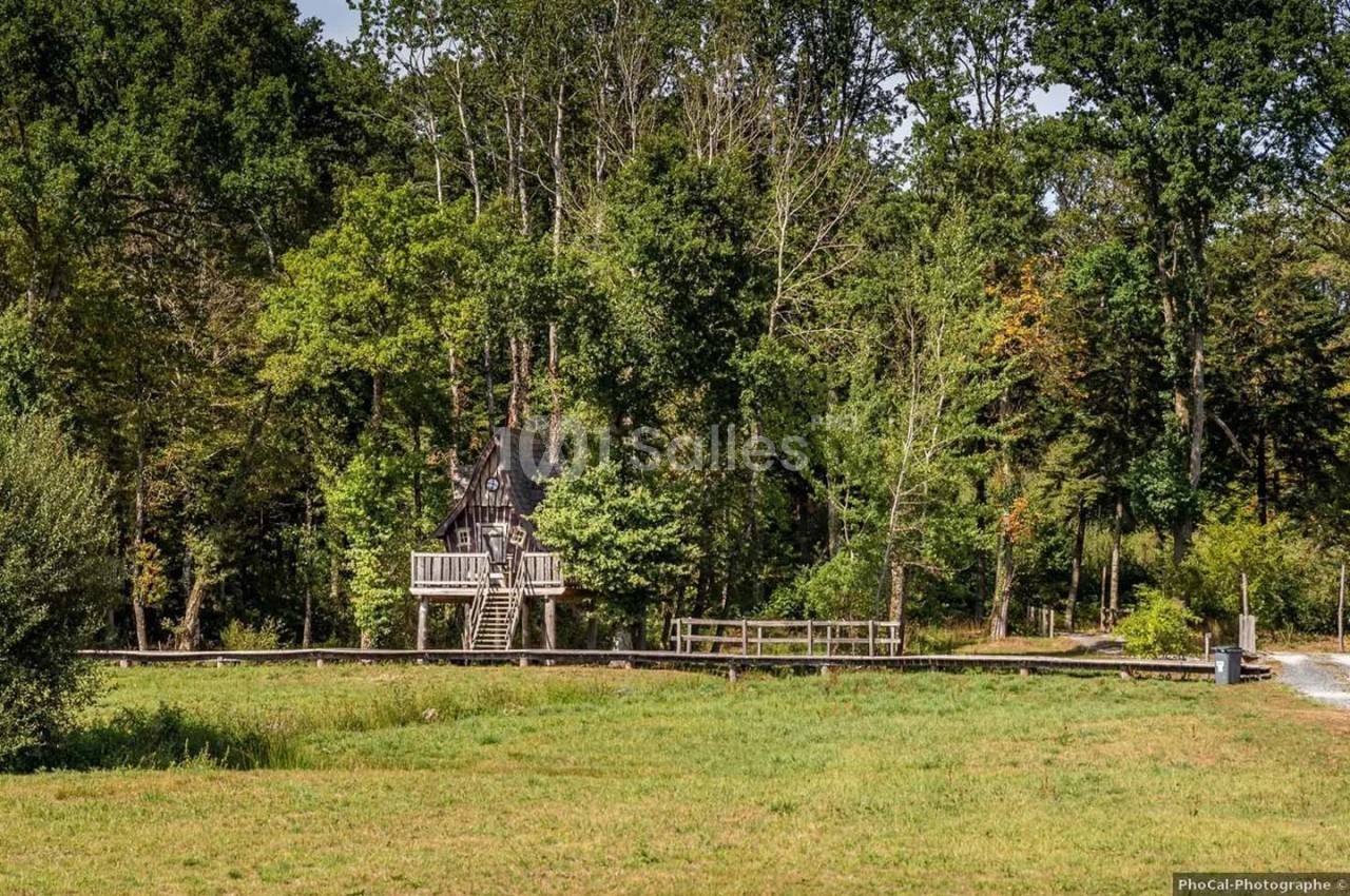 Cabane en bois perchée dans les arbres, entourée de forêt et bordée d'une prairie verdoyante.