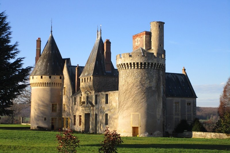 Château Des Bordes - photo 1