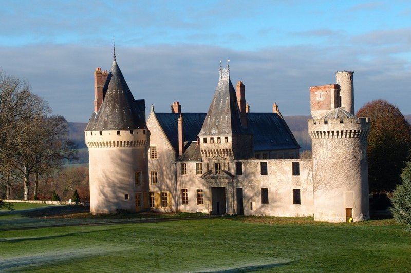 Château Des Bordes - photo 4