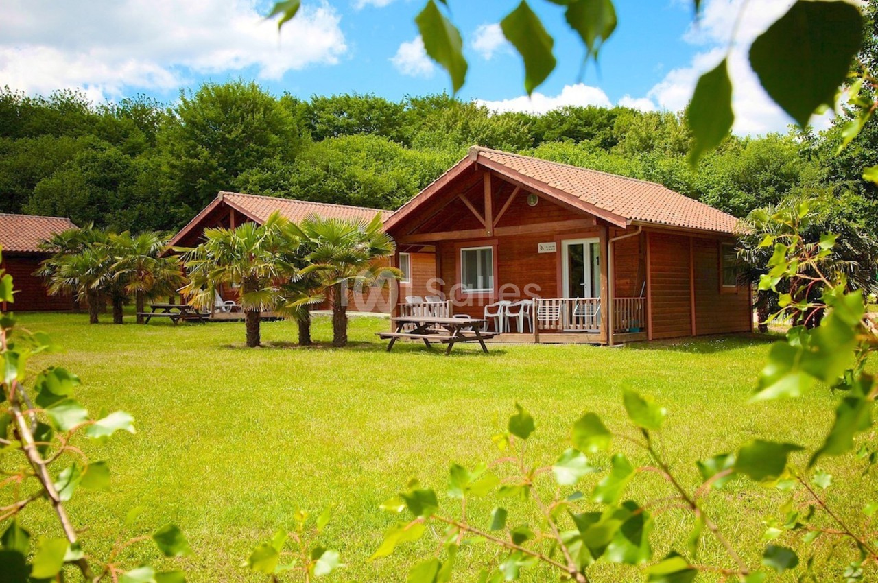 Chalet en bois avec terrasse, entouré de pelouse, palmiers et arbres, sous un ciel partiellement nuageux.