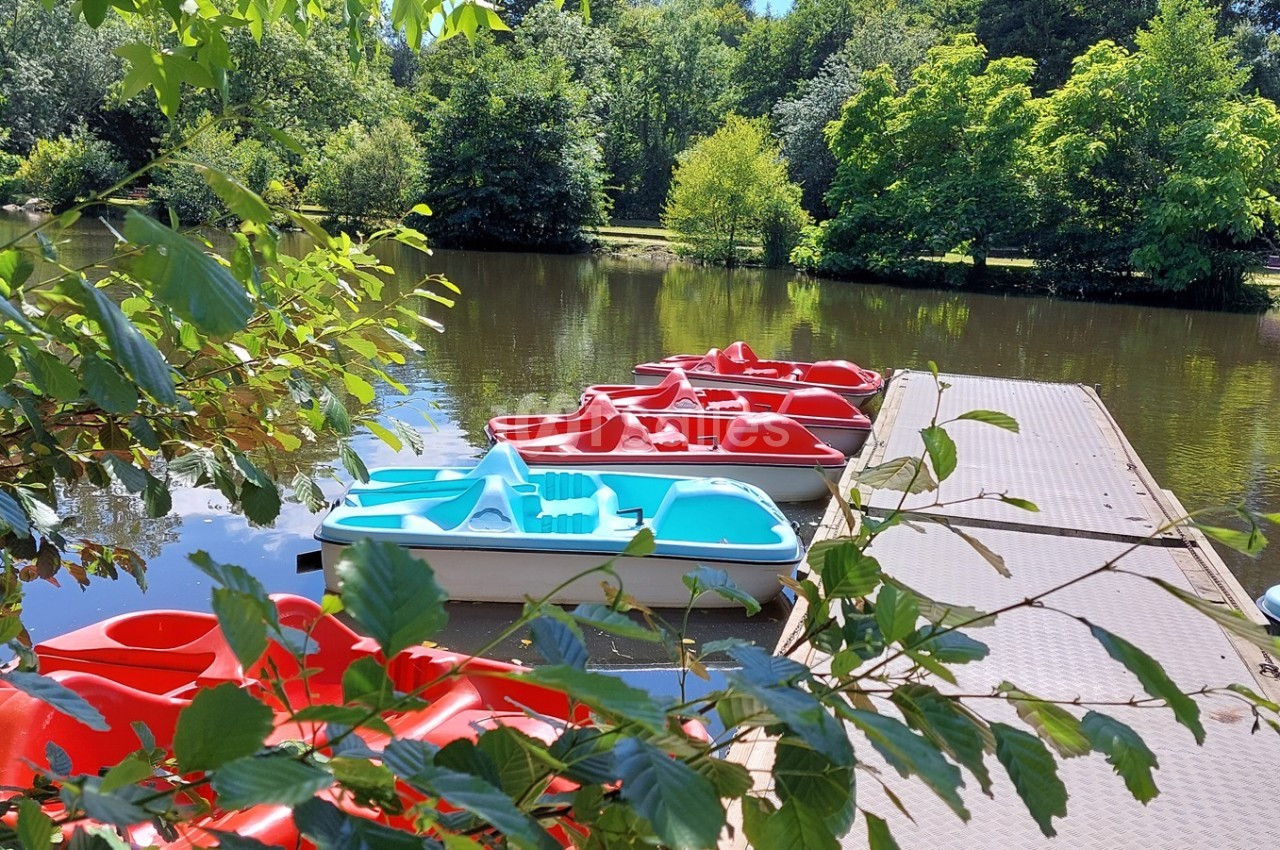 Pédalos rouges et bleus amarrés à un ponton en bois sur un étang entouré de végétation verdoyante.