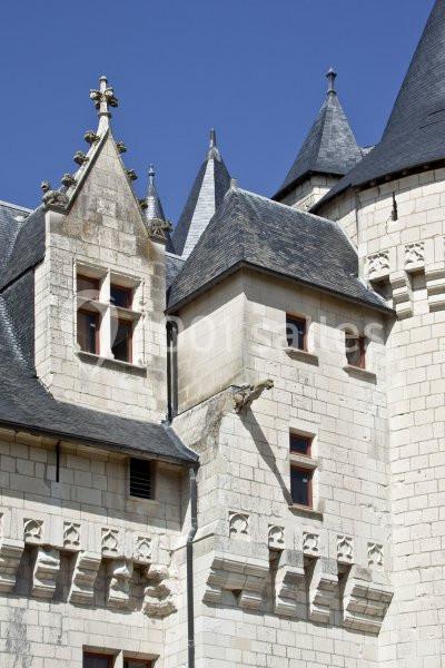 Château Du Coudray Montpensier - galerie - photo 17