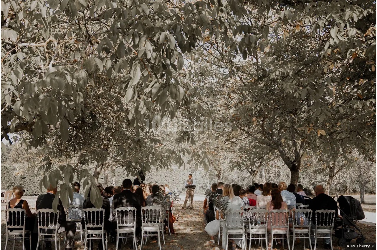 Cérémonie en plein air sous des arbres, avec des invités assis sur des chaises blanches face à un orateur.