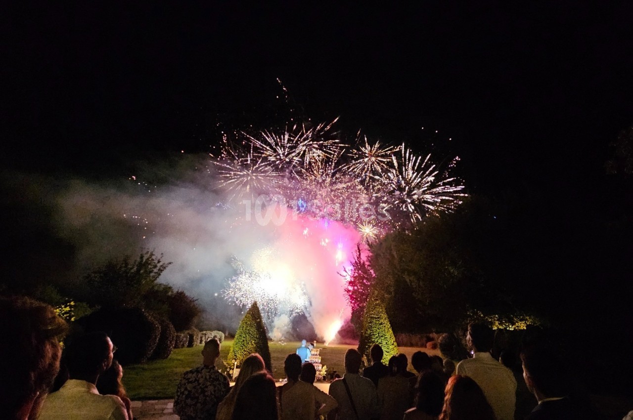 Un feu d'artifice illumine le ciel nocturne devant une foule rassemblée dans un jardin.