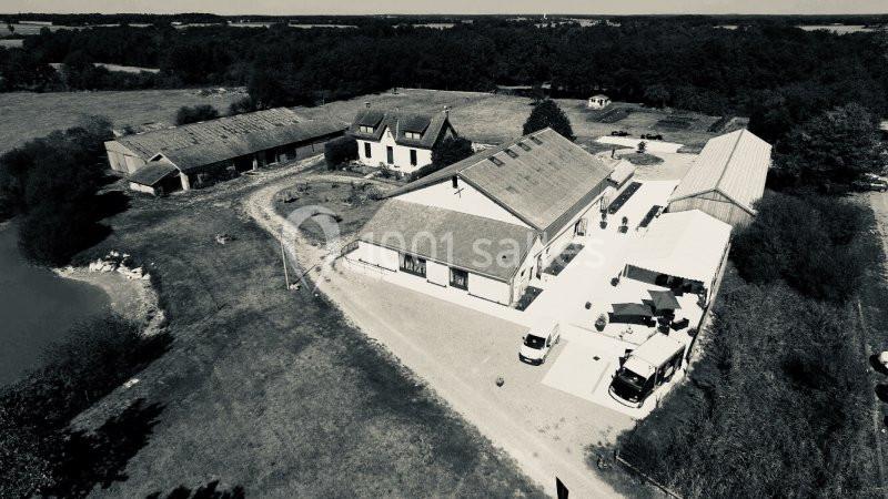 Domaine De Carthage - galerie - photo 14