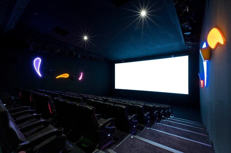 Pathé Docks Vauban - photo 4