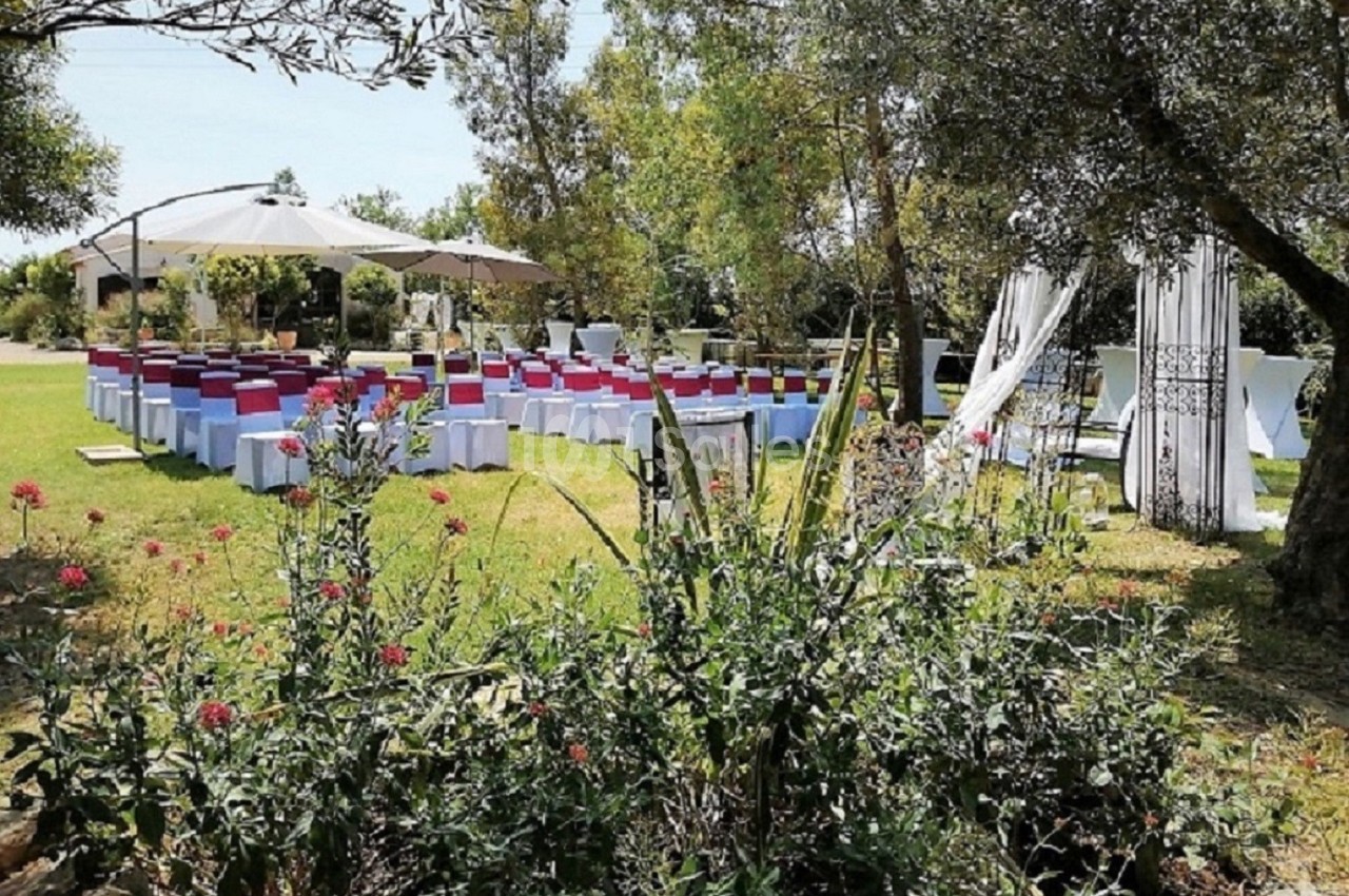 Chaises décorées disposées en extérieur pour une cérémonie, entourées de verdure et de fleurs sous un ciel dégagé.