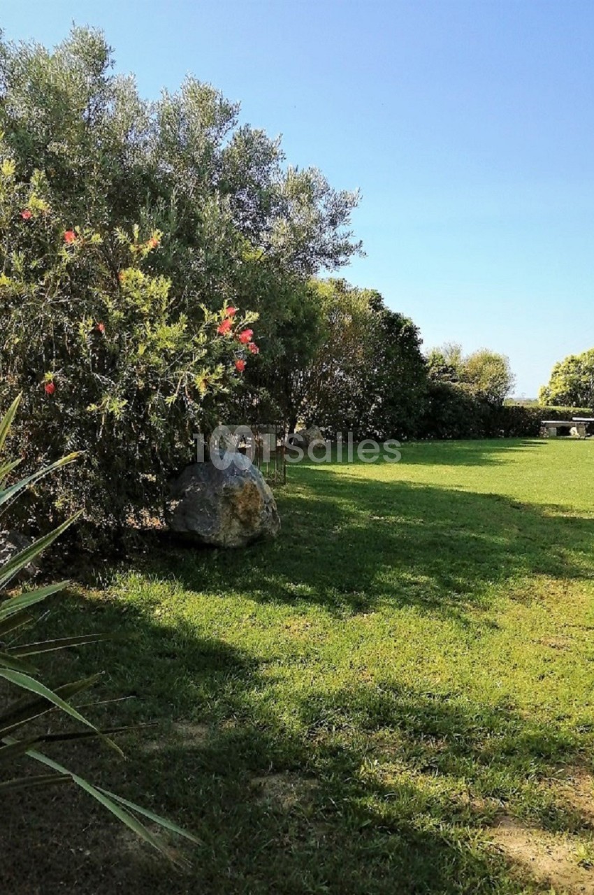 Espace vert avec pelouse, arbustes fleuris et arbres sous un ciel bleu clair.