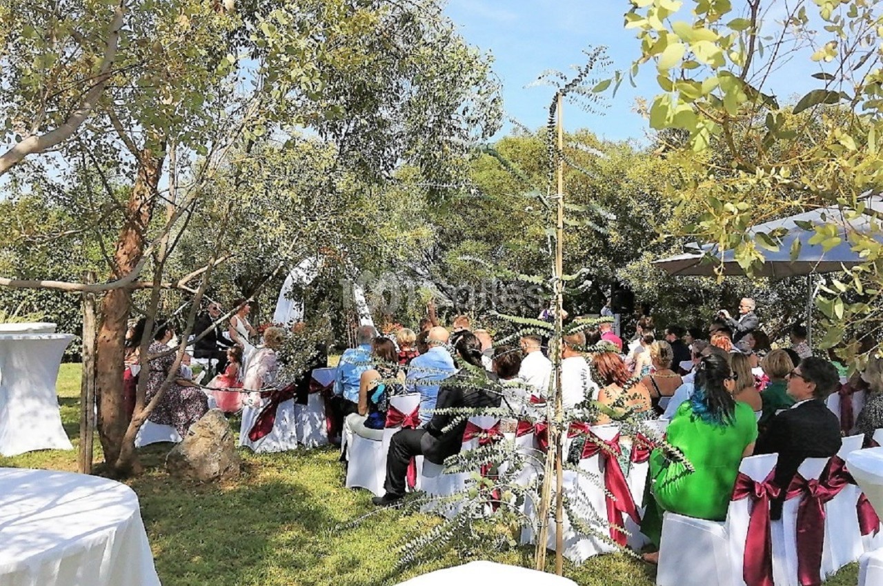 Invités assis sur des chaises blanches décorées de rubans rouges lors d'une cérémonie en plein air sous des arbres.