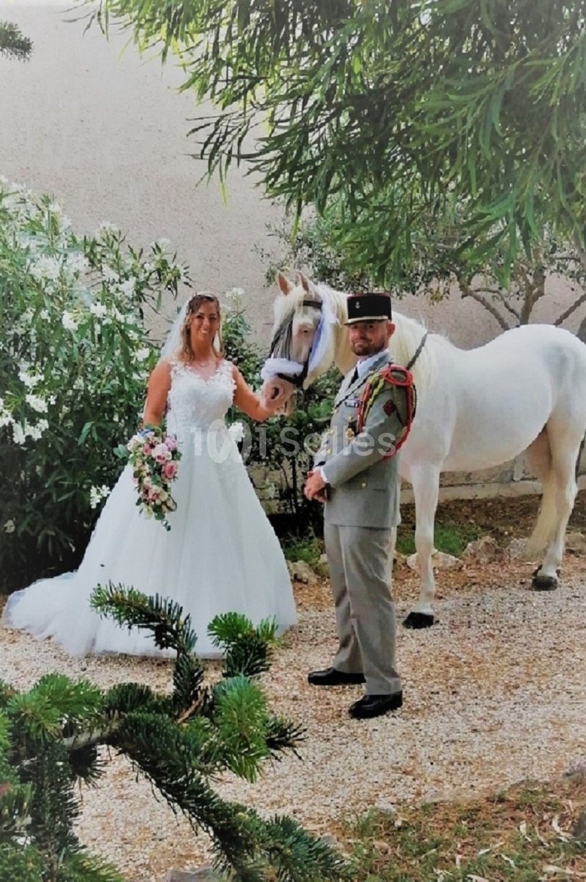 Un couple en tenue de mariage pose à côté d'un cheval blanc dans un jardin entouré de verdure.