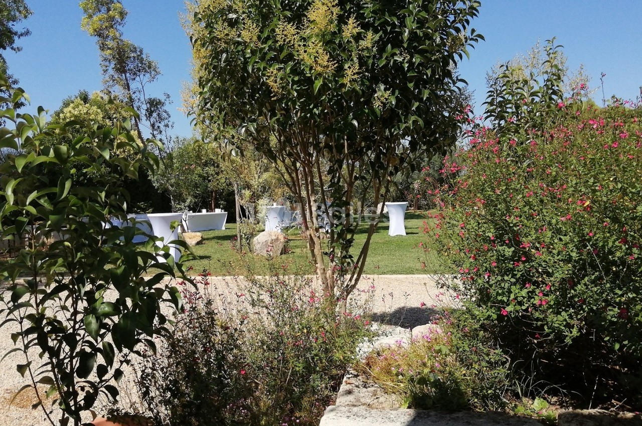 Jardin avec arbres, arbustes fleuris et tables hautes blanches sur une pelouse sous un ciel bleu.
