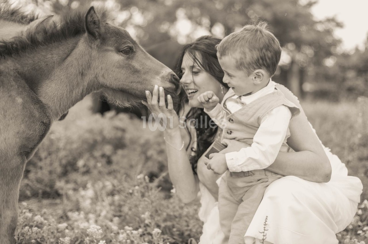 Une femme et un enfant interagissent avec un poulain dans un champ, créant un moment tendre et naturel.