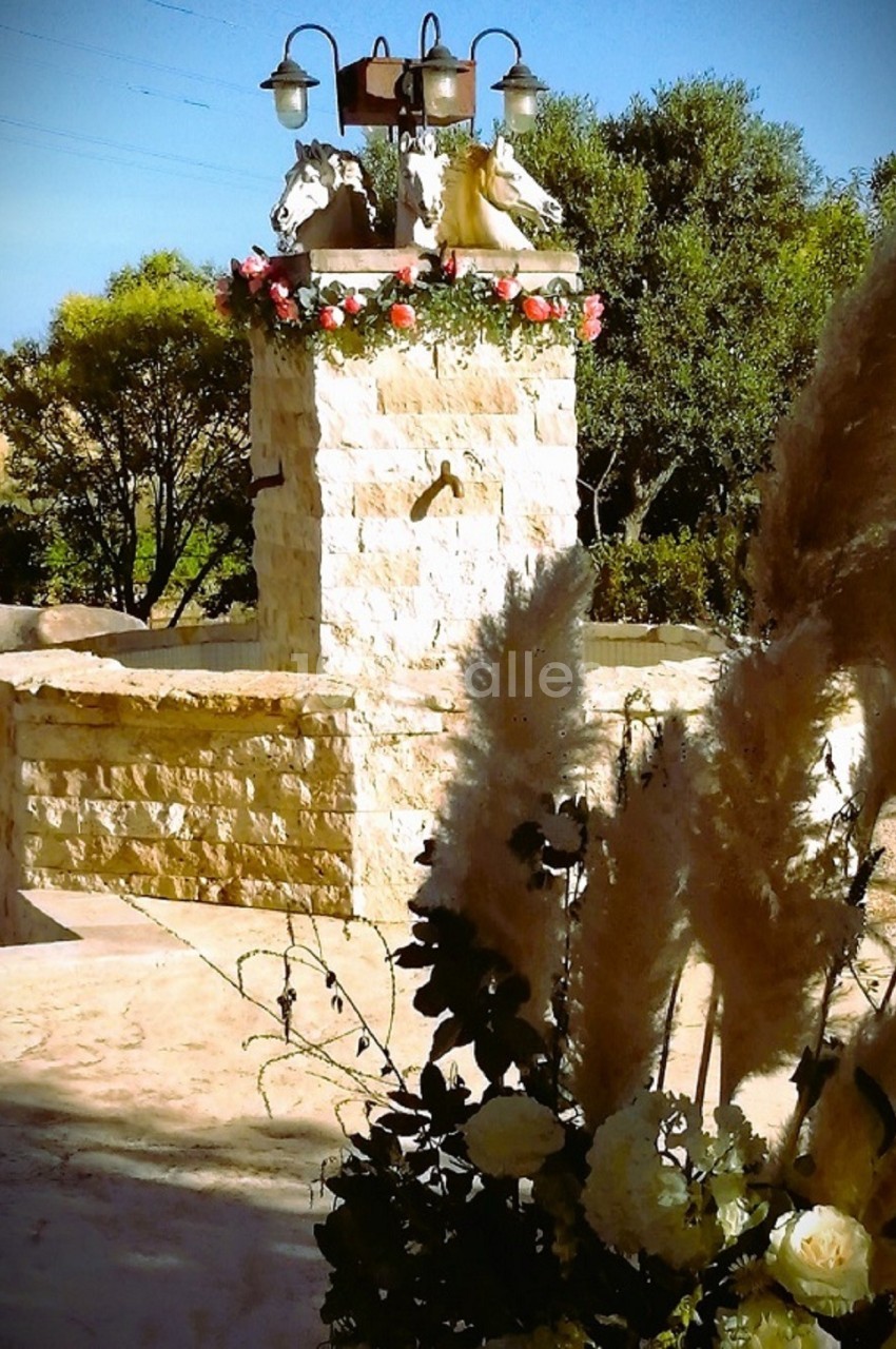 Fontaine en pierre ornée de fleurs et de pampas, entourée de végétation sous un ciel bleu.