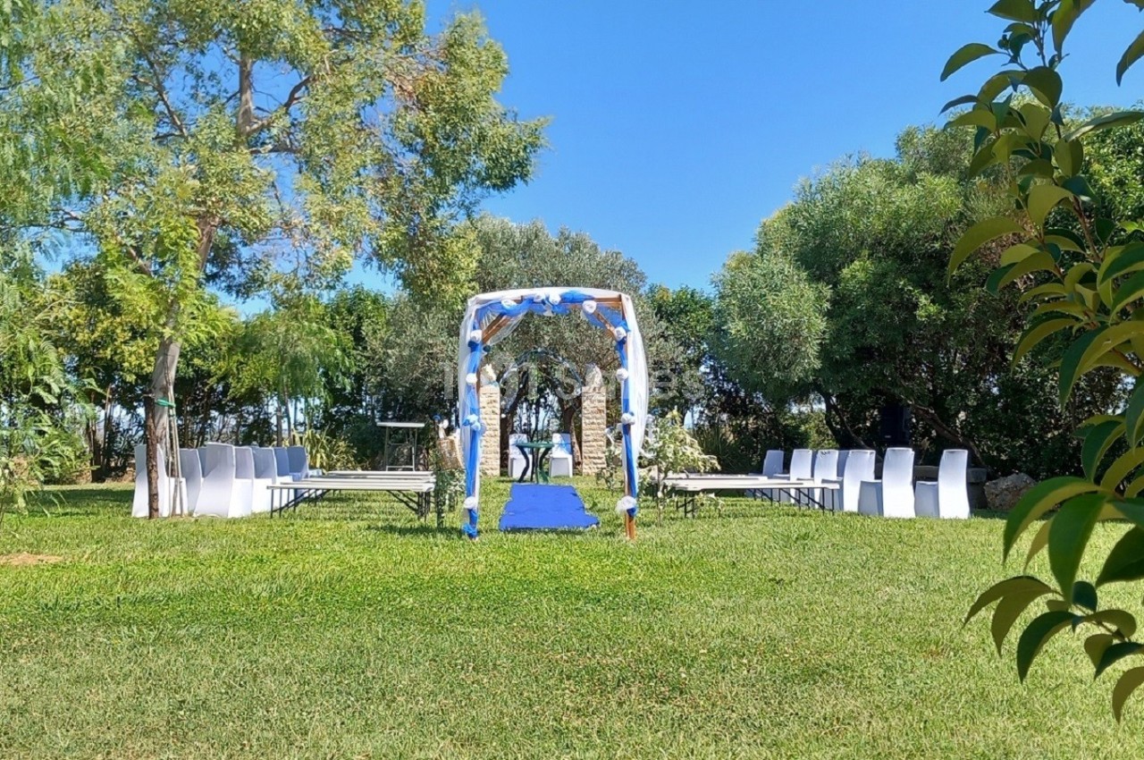Allée centrale avec tapis bleu menant à une arche décorée pour une cérémonie en plein air, entourée de chaises blanches.