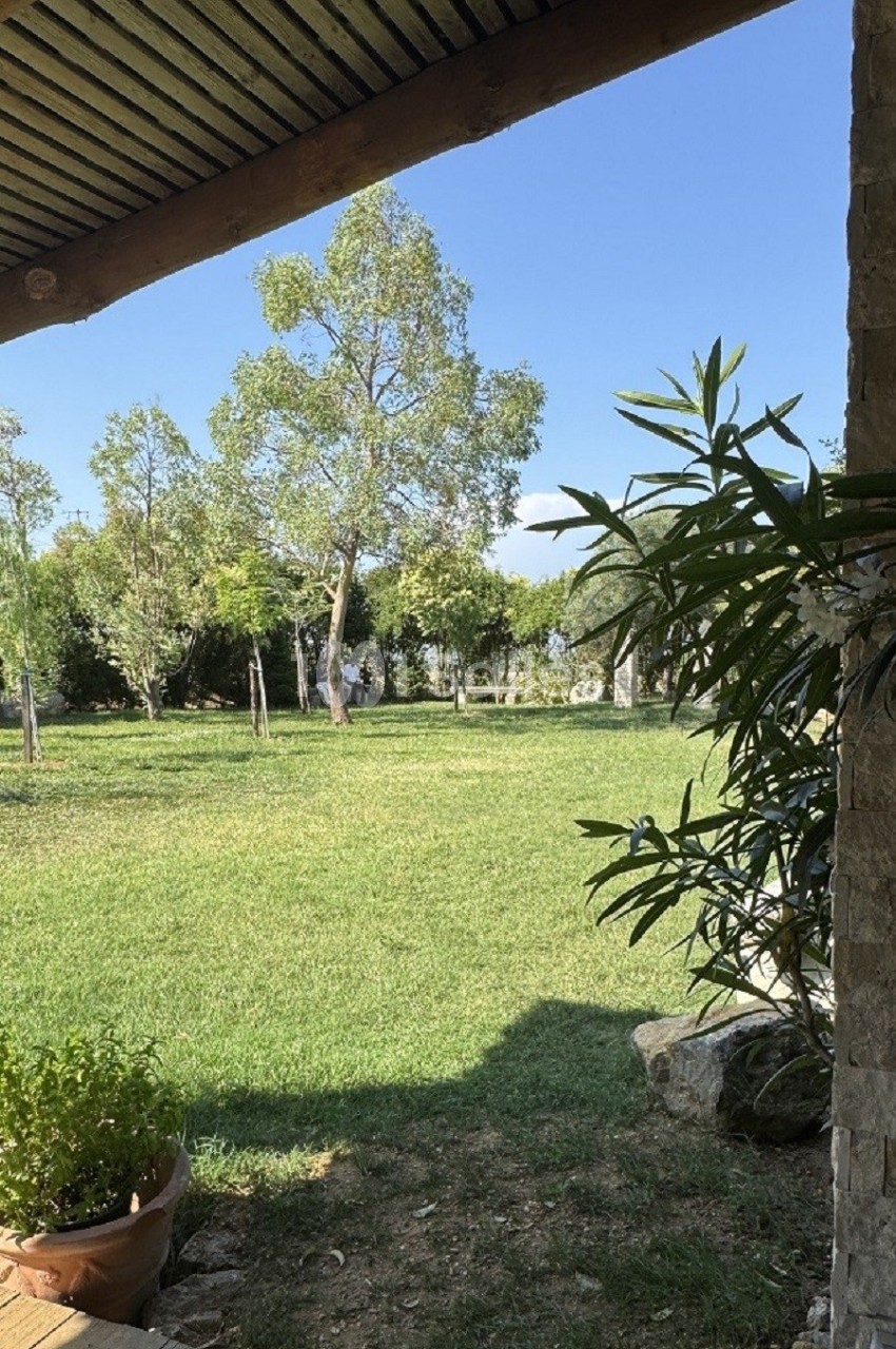 Vue d'un jardin verdoyant avec des arbres, prise depuis une terrasse ombragée avec des plantes en pot au premier plan.