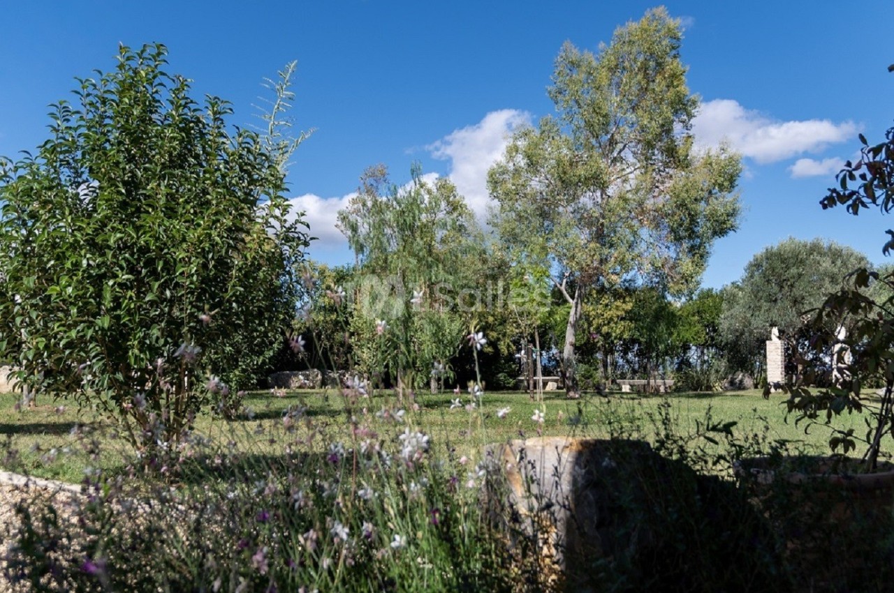 Jardin verdoyant avec arbres, fleurs sauvages au premier plan et ciel bleu parsemé de nuages en arrière-plan.