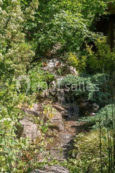 La Cascade - galerie - photo 15