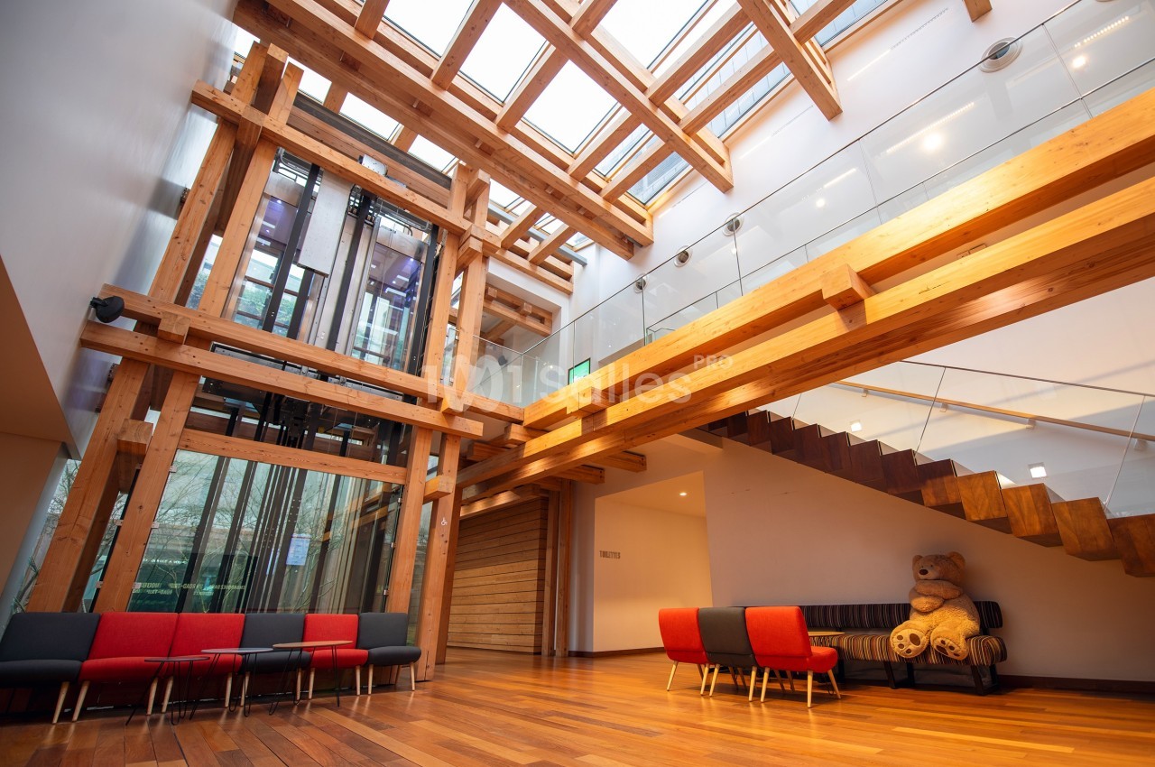 Intérieur lumineux avec structure en bois, escalier moderne, sièges colorés et un grand ours en peluche.