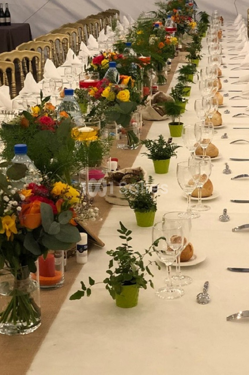 Table de banquet dressée avec nappes blanches, verres, serviettes pliées, fleurs colorées et petits pots de plantes.